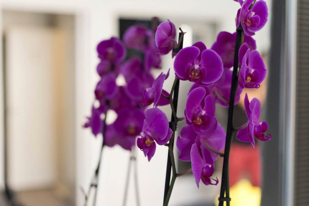 Studio Orchidea Helsinki Exterior photo